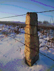 Fence Posts